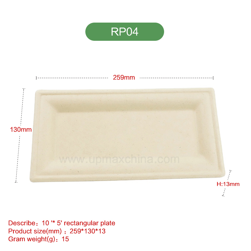 RP04