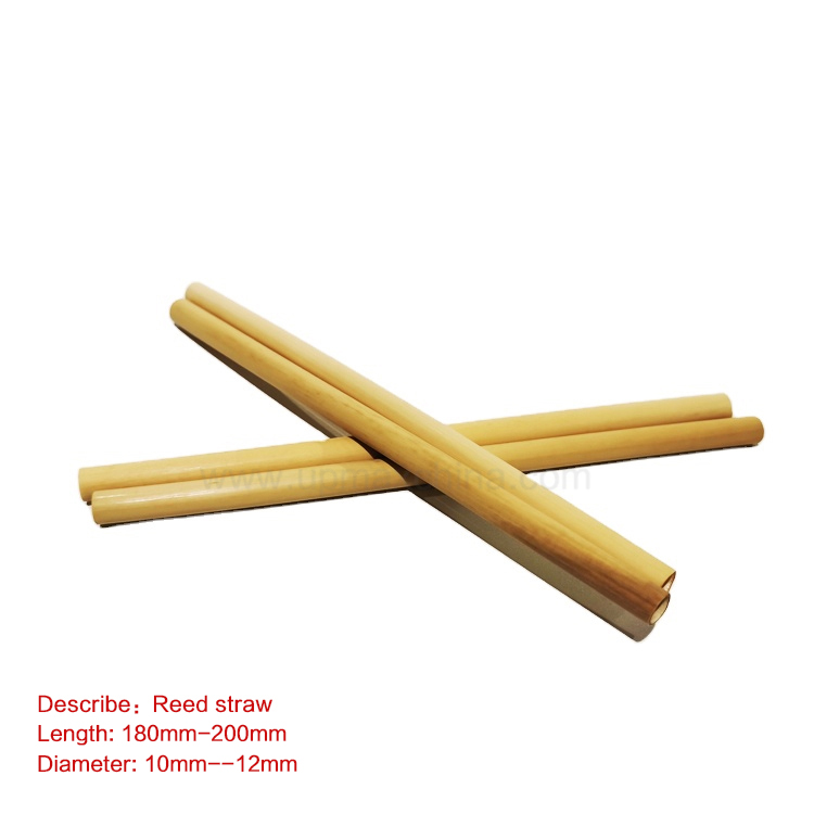 Reed straw-001